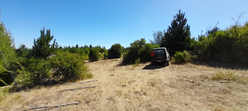 Venta parcela parral